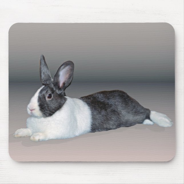 Dutch Bunny Relaxing Mouse Pad (Front)