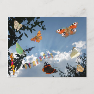 Dutch Butterflies Happy Birthday Postcard