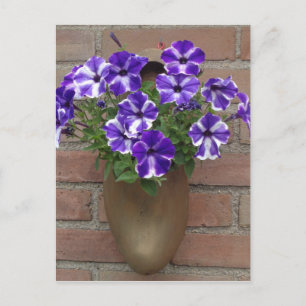 Dutch Clog with Purple Blue White Violet on Wall Postcard