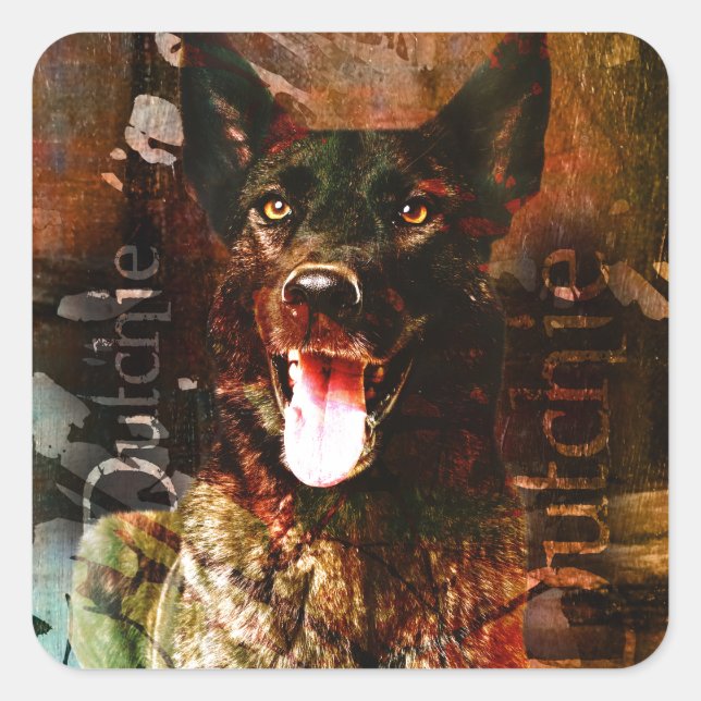 Dutch-ContrastTankDutch Shepherd dog - Dutchie Square Sticker (Front)