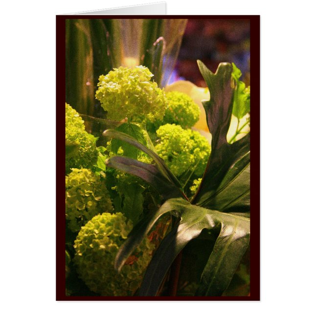 Dutch flowers (Front)