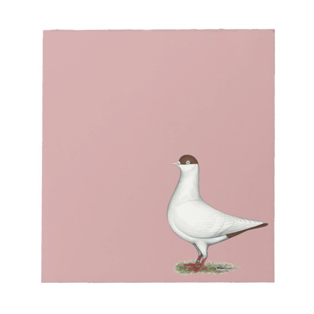 Dutch Helmet Pigeon Notepad (Front)
