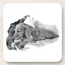 Dutch Hound Resting –  Graphic Coaster