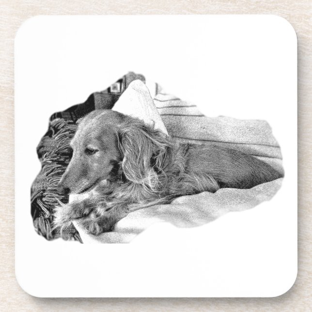 Dutch Hound Resting –  Graphic Coaster (Front)
