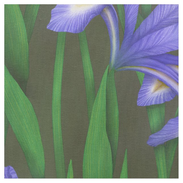 Dutch Iris (large scale) Fabric (Close Up)