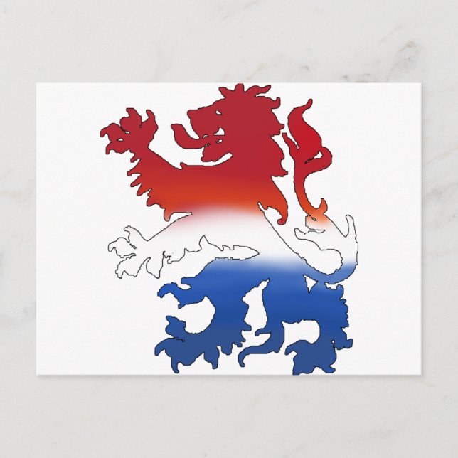 Dutch lion Netherlands flag gear Postcard (Front)