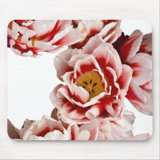 Dutch-Masters Mouse Pad