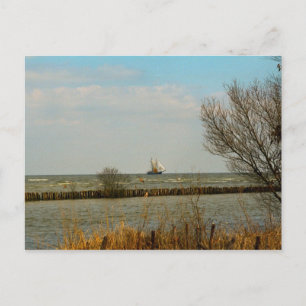 Dutch Sailing vessels on the Ijselmeer Postcard