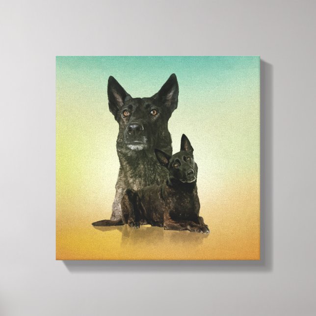 Dutch Shepherd - Dutchie Canvas Print (Front)
