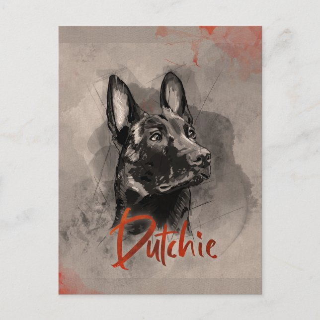  Dutch Shepherd - Dutchie Illustration Postcard (Front)