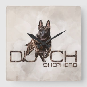 Dutch Shepherd - Dutchie Illustration Square Wall Clock