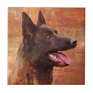 Dutch Shepherd - Dutchie Illustration Tile
