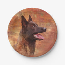 Dutch Shepherd -Hollandse Herdershond