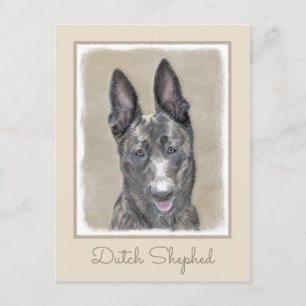 Dutch Shepherd Painting - Cute Original Dog Art Postcard