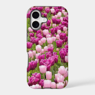 Dutch Tulips