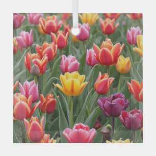 Dutch Tulips Glass Ornament