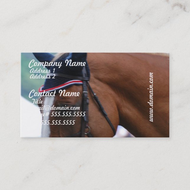 Dutch Warmblood Horse Business Cards (Front)