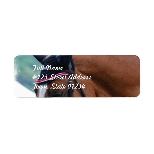 Dutch Warmblood Horse Mailing Label (Front)