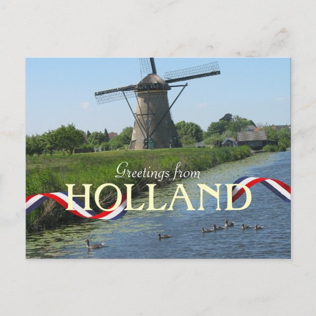 Dutch Windmill Ducks Postcard (Front)