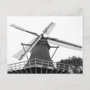 Dutch Windmill Postcard