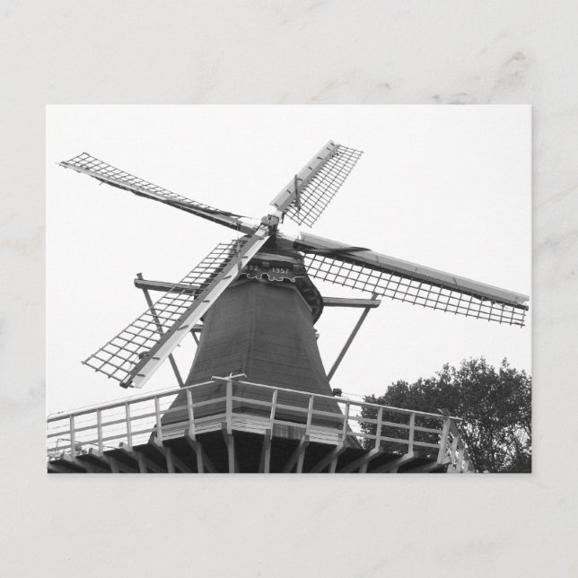 Dutch Windmill Postcard (Front)
