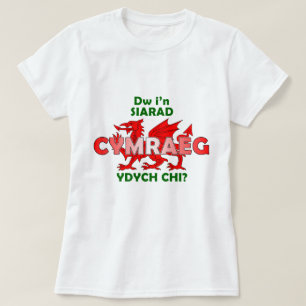Dw i'n siarad Cymraeg crys-T T-Shirt