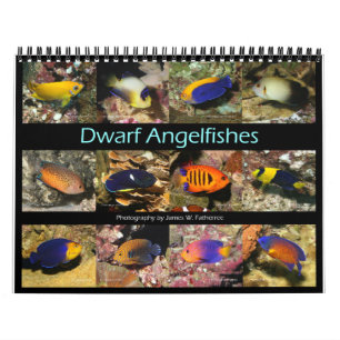 Dwarf Angelfishes Wall Calendar by J.W. Fatherree.
