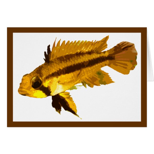 Dwarf Cichlid (Front Horizontal)