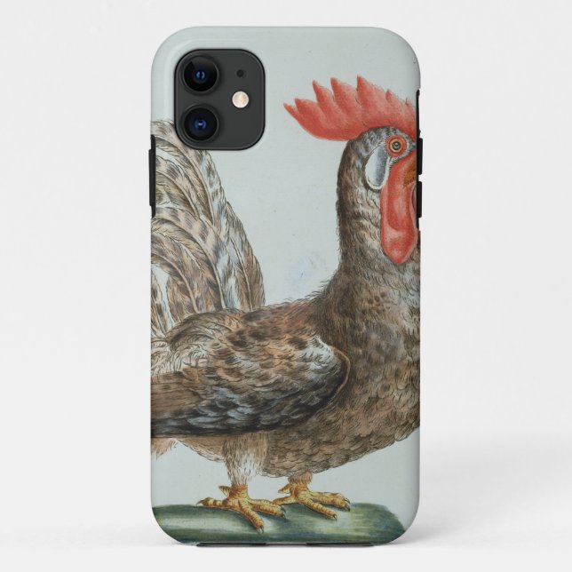 Dwarf Cockerel, c.1767-76 (hand coloured engraving Case-Mate iPhone Case (Back)
