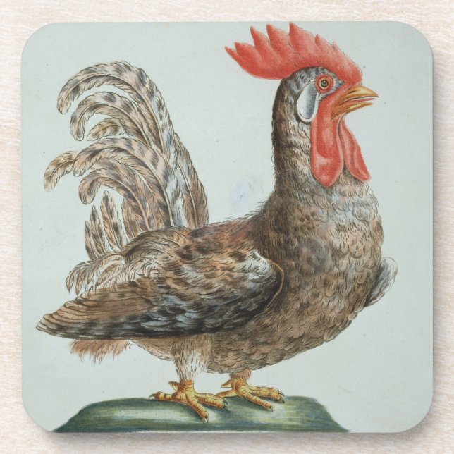 Dwarf Cockerel, c.1767-76 (hand coloured engraving Coaster (Front)