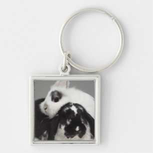 Dwarf-eared rabbit leaning over lop-eared keychain