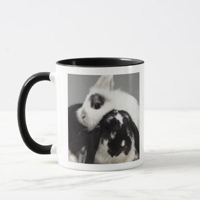 Dwarf-eared rabbit leaning over lop-eared mug (Left)
