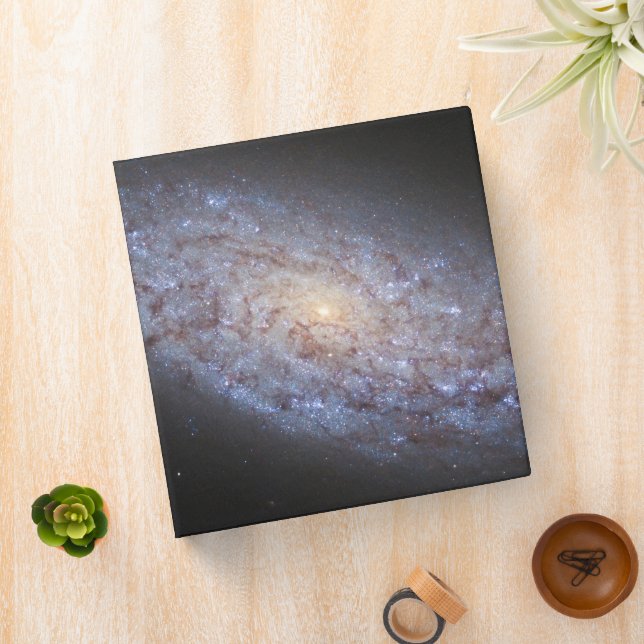 Dwarf Galaxy Ngc 5949. Binder (In Situ)