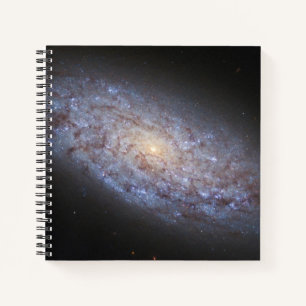 Dwarf Galaxy Ngc 5949. Notebook