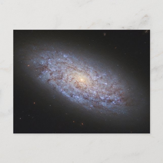 Dwarf Galaxy Ngc 5949. Postcard (Front)