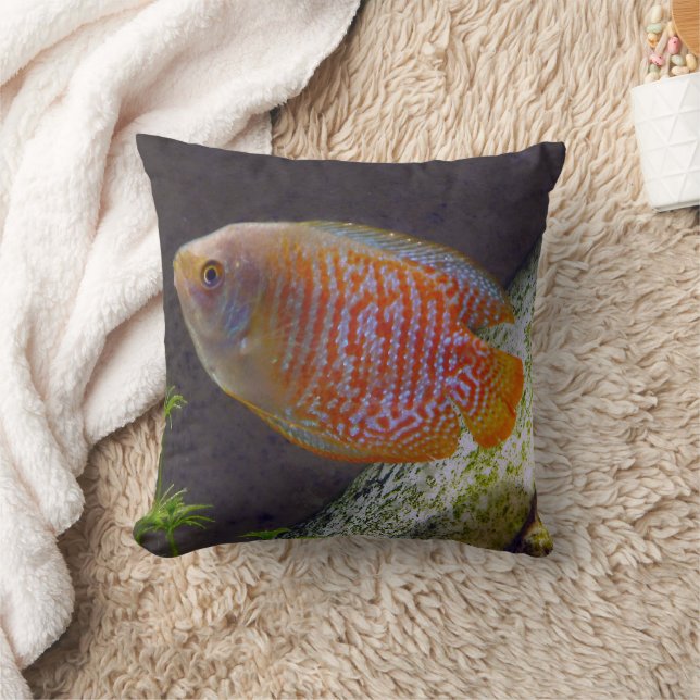 Dwarf Gourami Fish Throw Pillow (Blanket)