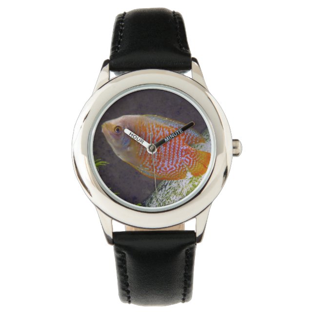 Dwarf Gourami Fish Watch (Front)