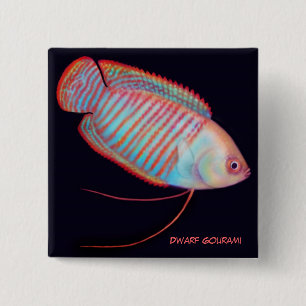 Dwarf Gourami Tropical Fish Pin