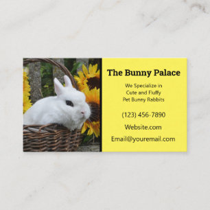 Dwarf Hotot Bunny Rabbit Breeder Business Card