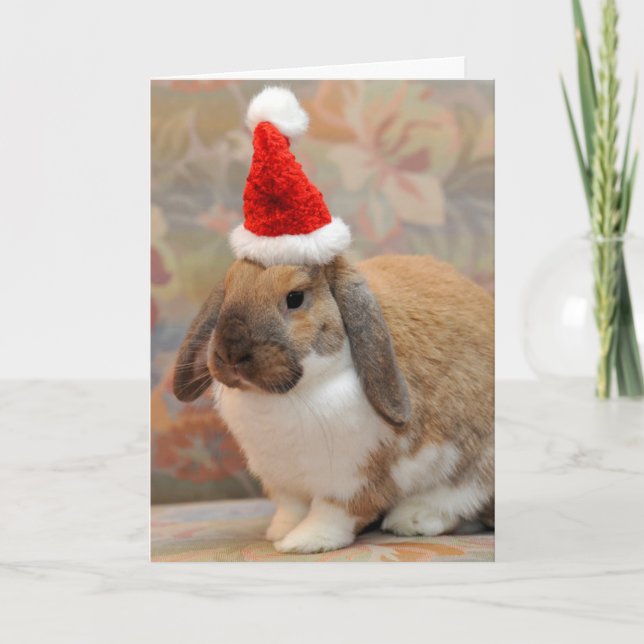 Dwarf lop bunny or rabbit holiday card (Front)