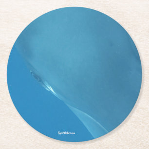 Dwarf Minke Eye Round Paper Coaster
