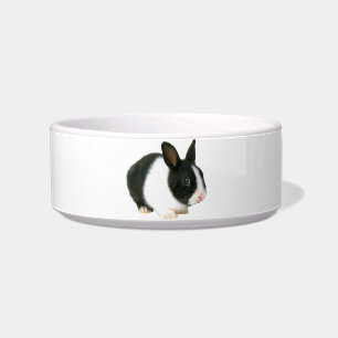 Dwarf Rabbit Bunny Pet Bowl