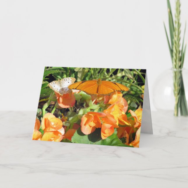 Dyas Julia and White Peacock Butterflies Greeting Card (Front)