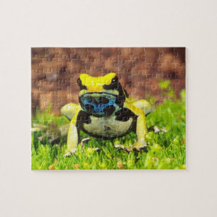 Dyeing Poison Frog, Dendrobates tinctorius, Jigsaw Puzzle
