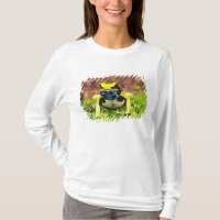 Dyeing Poison Frog, Dendrobates tinctorius,