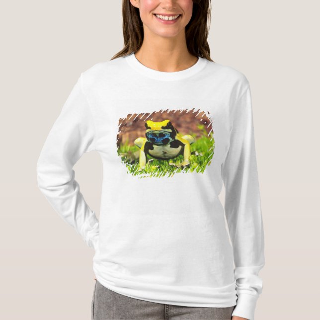 Dyeing Poison Frog, Dendrobates tinctorius, T-Shirt (Front)