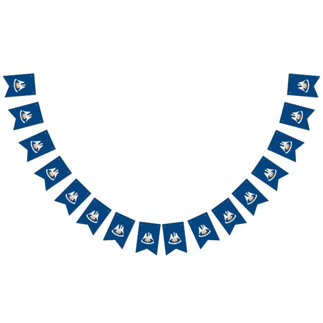 Dynamic Louisiana State Flag Graphic on a (All)