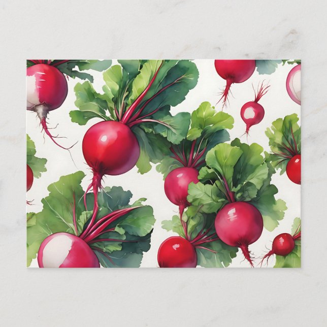 Dynamic Radish Watercolor with Bold Strokes  Postcard (Front)