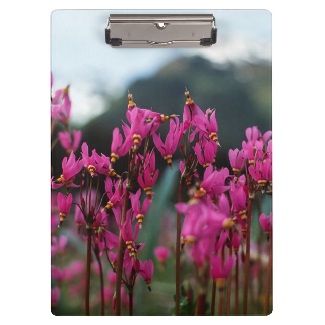Dynamic Shooting Stars Clipboard (Front)