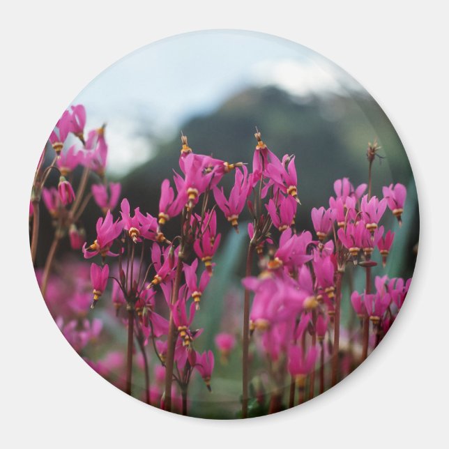 Dynamic Shooting Stars Magnet (Front)